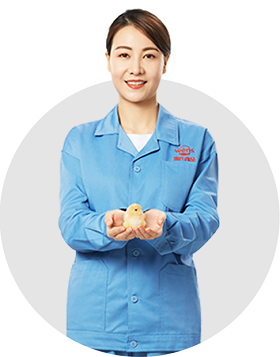 新葡萄(8883·AMG)官方网站